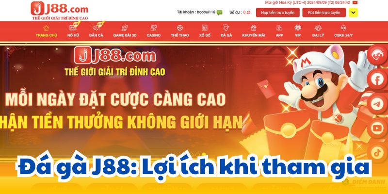 Đá gà J88: Lợi ích khi tham gia.