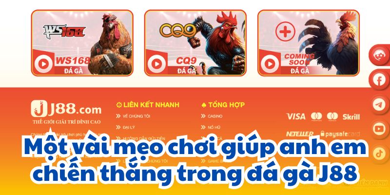 Một vài mẹo chơi giúp anh em chiến thắng trong đá gà J88.